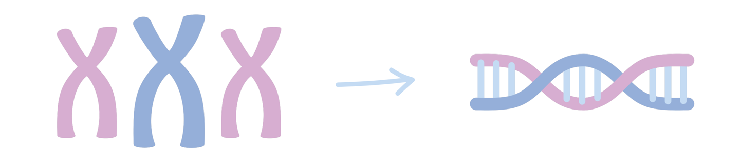 origini biologiche differenti