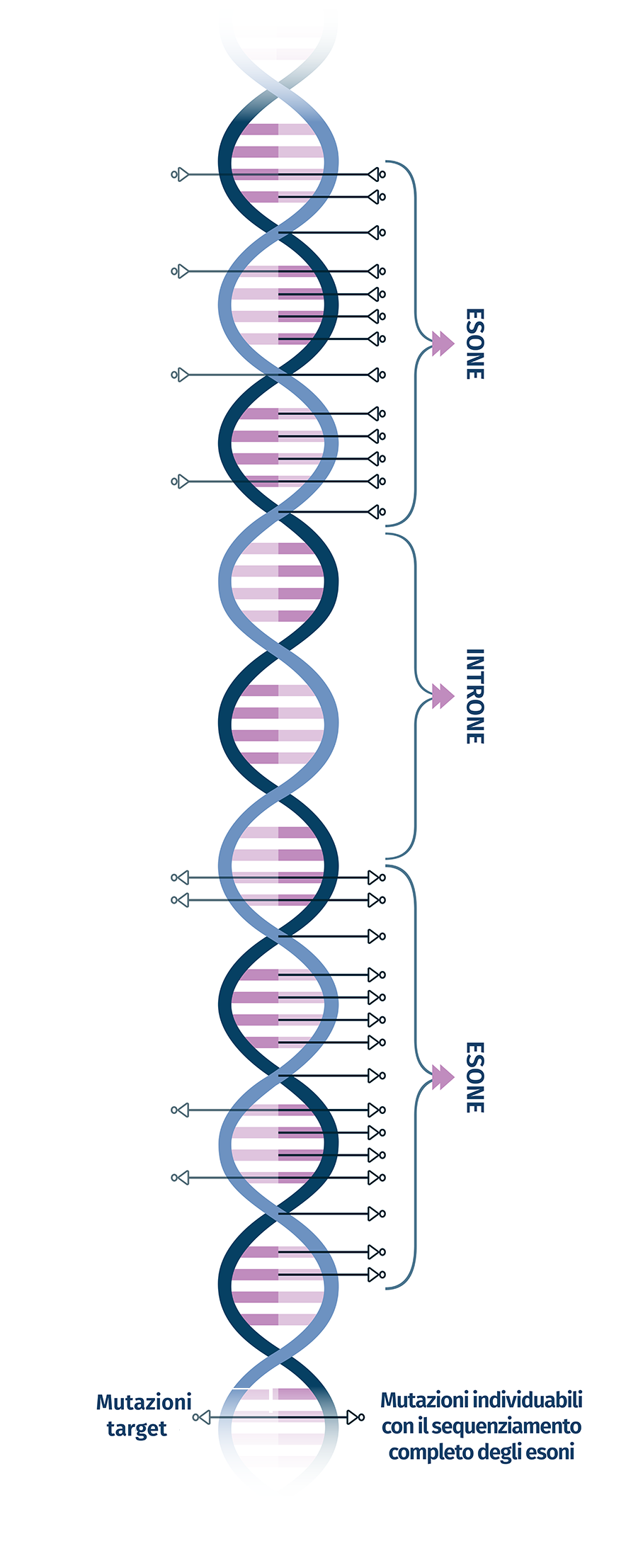 tecnologia fertiladvance